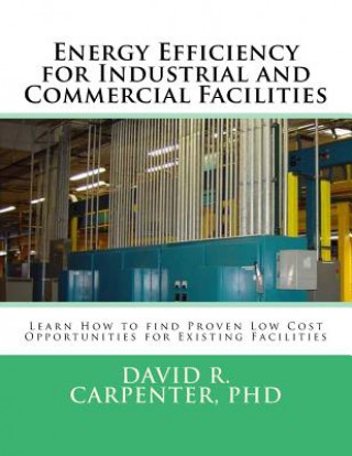 Buch Energy Efficiency for Industrial and Commercial Facilities: Best Low Cost Opportunities for Existing Facilities David R Carpenter Phd