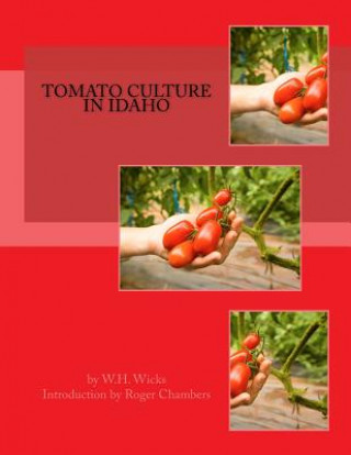 Kniha Tomato Culture in Idaho W H Wicks