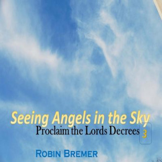 Knjiga Seeing Angels in the Sky: Proclaim The Lords Decree Robin Bremer