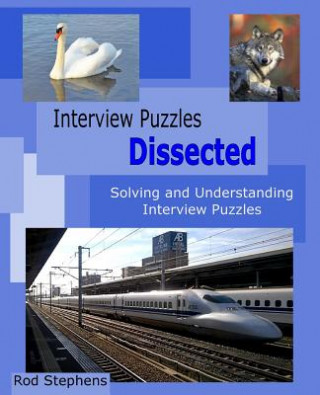 Kniha Interview Puzzles Dissected: Solving and Understanding Interview Puzzles Rod Stephens