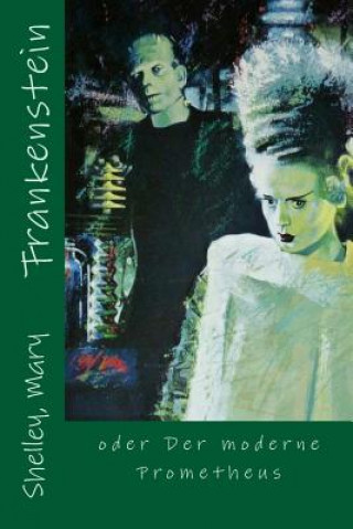 Buch Frankenstein: oder Der moderne Prometheus Shelley Mary
