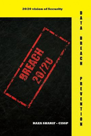 Kniha Breach 20/20 Raza Sharif