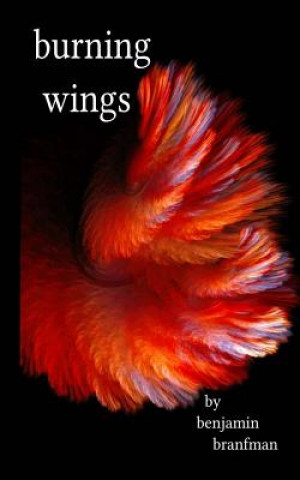 Knjiga Burning Wings Benjamin Branfman