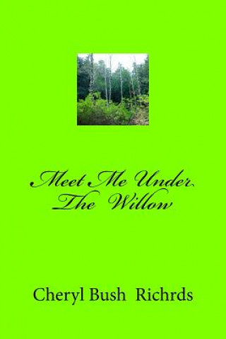 Buch Meet Me Under The Willow Cheryl Bush Richards