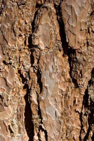 Knjiga Bark Dibiasio Publications