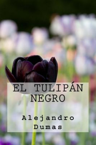 Könyv El Tulipan Negro (Spanish Edition) Alejandro Dumas