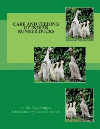 Carte Care and Feeding of Indian Runner Ducks Mrs Geo Simpson