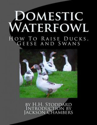 Carte Domestic Waterfowl: How To Raise Ducks, Geese and Swans H H Stoddard