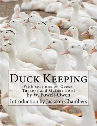 Kniha Duck Keeping: With sections on Geese, Turkeys and Guinea Fowl W Powell-Owen