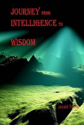 Kniha Journey from Intelligence to Wisdom: philosophy Javaid Toosy