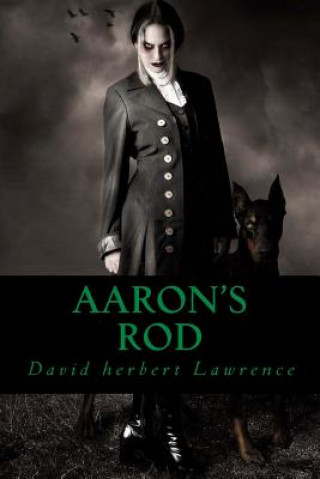 Knjiga Aaron s Rod David Herbert Lawrence