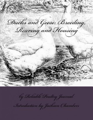 Kniha Ducks and Geese: Breeding, Rearing and Housing Reliable Poultry Journal