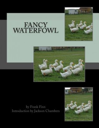 Knjiga Fancy Waterfowl Frank Finn