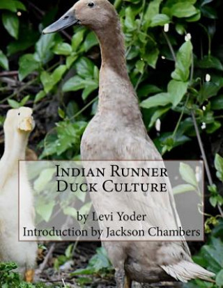 Könyv Indian Runner Duck Culture Levi Yoder