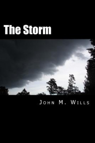 Könyv The Storm John M Wills