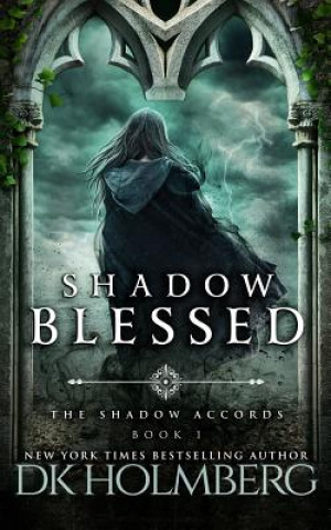 Книга Shadow Blessed D K Holmberg