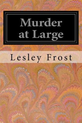 Kniha Murder at Large Lesley Frost