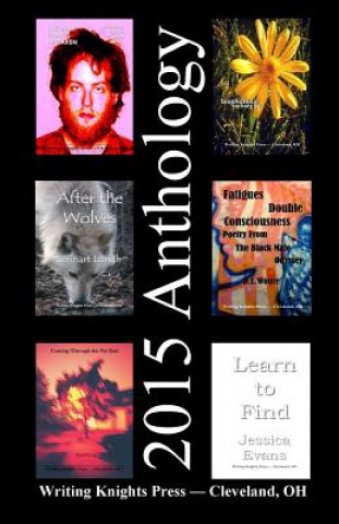 Książka 2015 Anthology Writing Knights Press