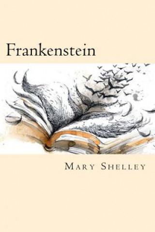 Buch Frankenstein Mary Shelley