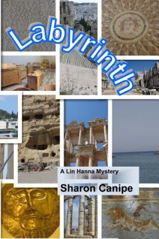 Книга Labyrinth Sharon Canipe