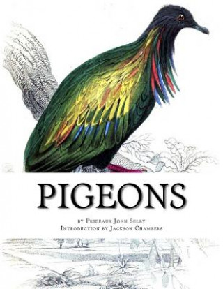 Kniha Pigeons: Pigeon Classics Book 9 Prideaux John Selby