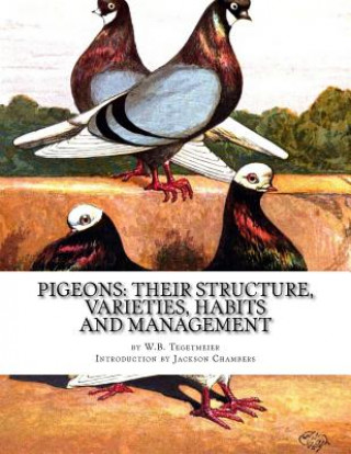 Könyv Pigeons: Their Structure, Varieties, Habits and Management: Pigeon Classics Book 12 W B Tegetmeier