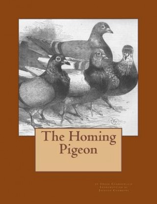 Carte The Homing Pigeon Edgar Chamberlain