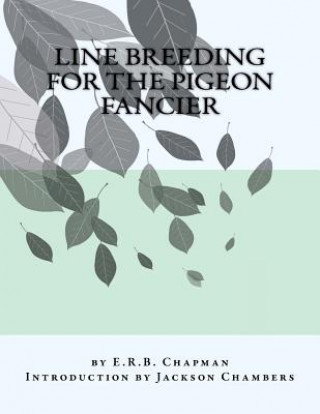 Kniha Line Breeding For The Pigeon Fancier E R B Chapman