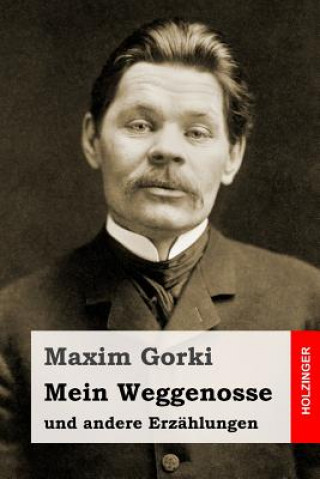 Kniha Mein Weggenosse und andere Erzählungen Maxim Gorki