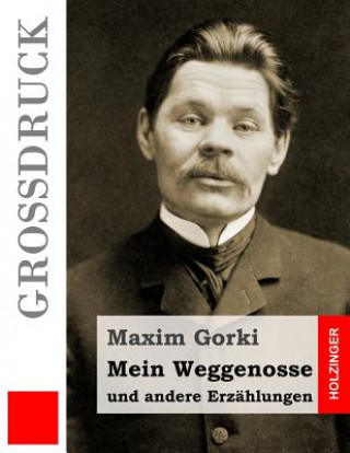 Kniha Mein Weggenosse und andere Erzählungen (Großdruck) Maxim Gorki