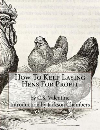 Kniha How To Keep Laying Hens For Profit C S Valentine