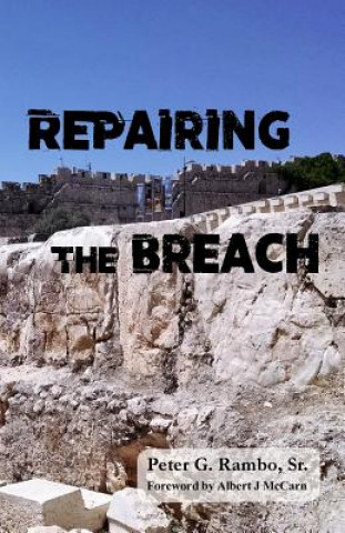 Knjiga Repairing the Breach Peter G Rambo Sr