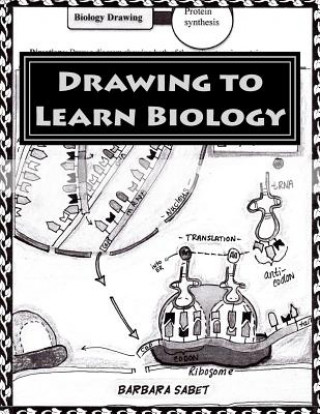 Książka Drawing to Learn Biology: Black and White Version Barbara Sabet