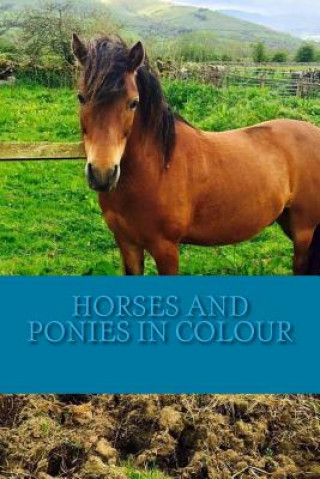 Knjiga Horses and Ponies in Colour: Full colour photographs of various breeds of horse and pony C Cartmell