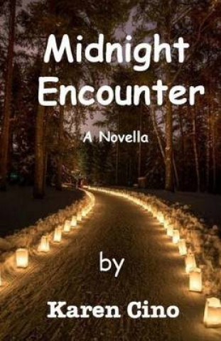 Knjiga Midnight Encounter Karen Cino