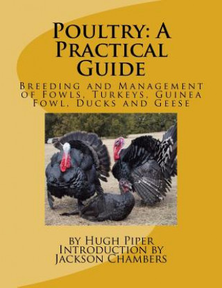 Kniha Poultry: A Practical Guide: Breeding and Management of Fowls, Turkeys, Guinea Fowl, Ducks and Geese Hugh Piper