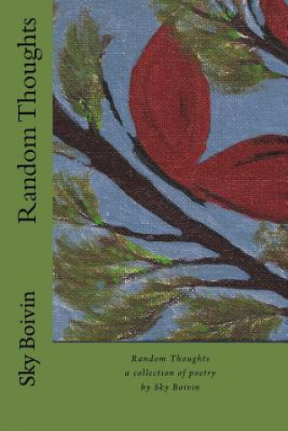 Книга Random Thoughts Sky Boivin