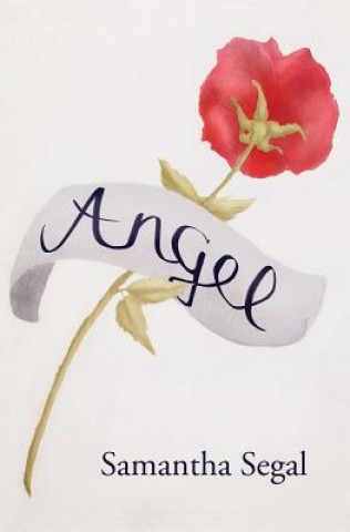 Knjiga Angel Samantha Segal