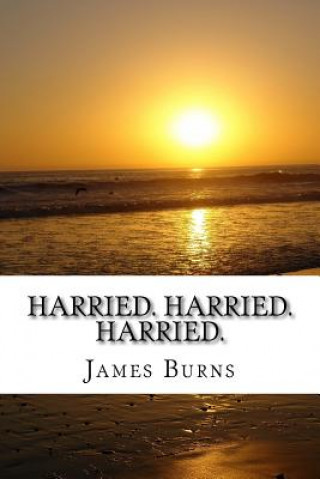 Kniha Harried. Harried. Harried. James Burns