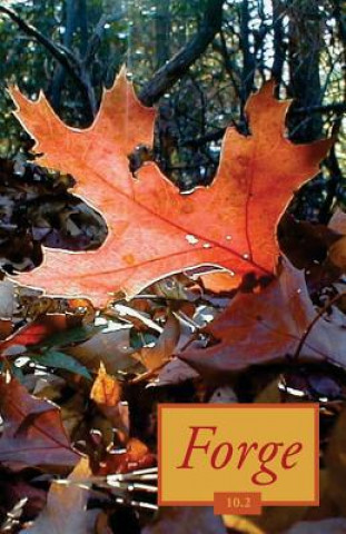 Book Forge 10.2 Forge