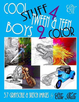 Book Cool Stuff 4 Tween & Teen Boys 2 Color Ellie Nellz