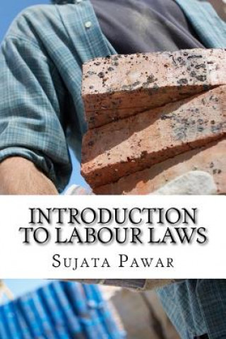Buch Introduction to Labour laws Sujata Sanjay Pawar