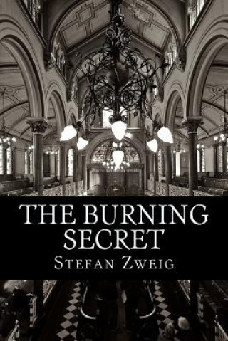 Kniha The Burning Secret Stefan Zweig