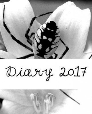 Carte Diary 2017 Julia Kossowska