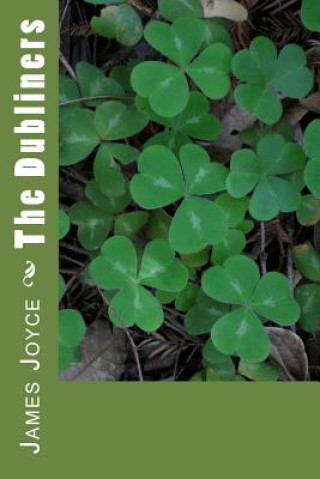Buch The Dubliners James Joyce