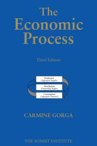 Carte The Economic Process: An Instantaneous Non-Newtonian Picture Third Edition Dr Carmine Gorga