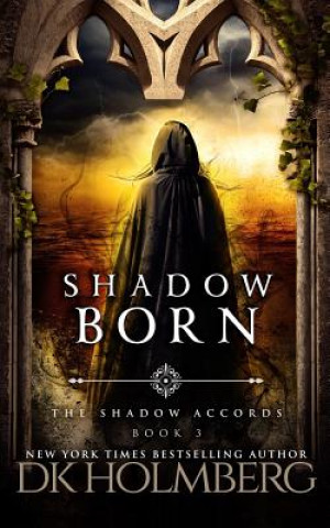 Knjiga Shadow Born D K Holmberg