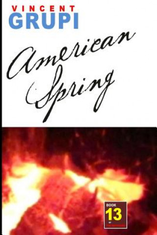 Kniha American Spring Vincent Grupi