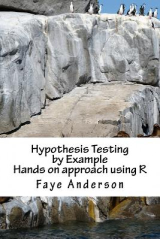 Könyv Hypothesis Testing by Example: Hands on approach using R Faye Anderson
