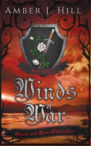 Kniha Winds of War Amber J Hill